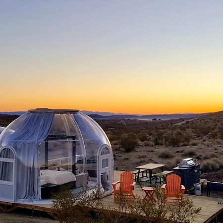 Jthavn-Joshua Tree Remote Dessert Bubble Dome Kültér fotó