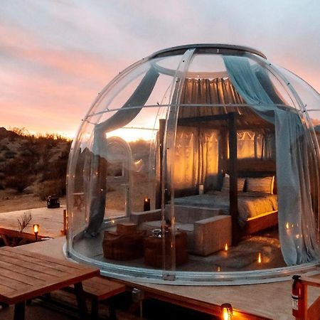 Jthavn-Joshua Tree Remote Dessert Bubble Dome Kültér fotó