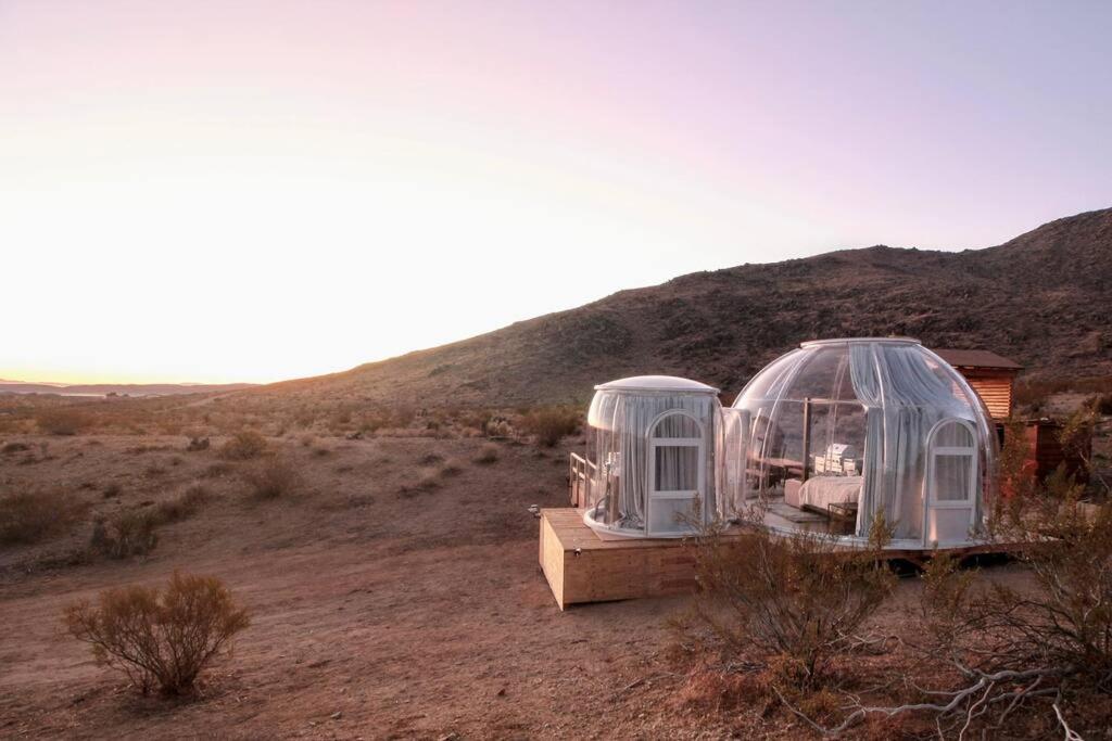 Jthavn-Joshua Tree Remote Dessert Bubble Dome Kültér fotó