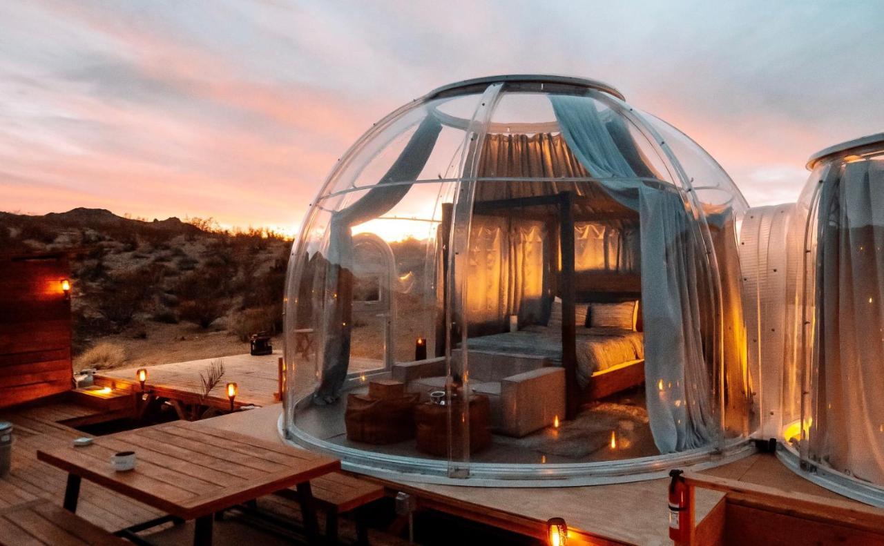 Jthavn-Joshua Tree Remote Dessert Bubble Dome Kültér fotó