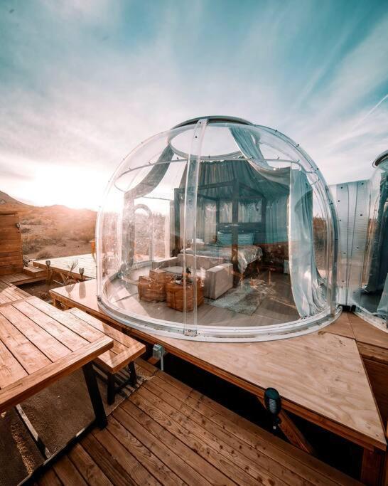 Jthavn-Joshua Tree Remote Dessert Bubble Dome Kültér fotó