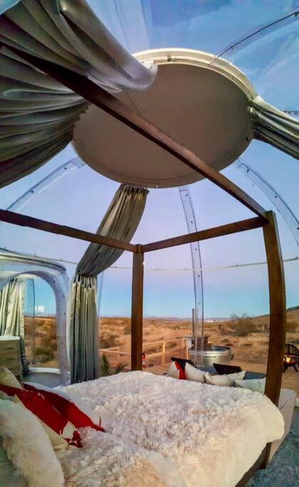 Jthavn-Joshua Tree Remote Dessert Bubble Dome Kültér fotó