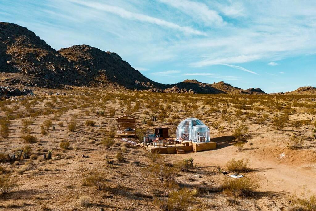 Jthavn-Joshua Tree Remote Dessert Bubble Dome Kültér fotó