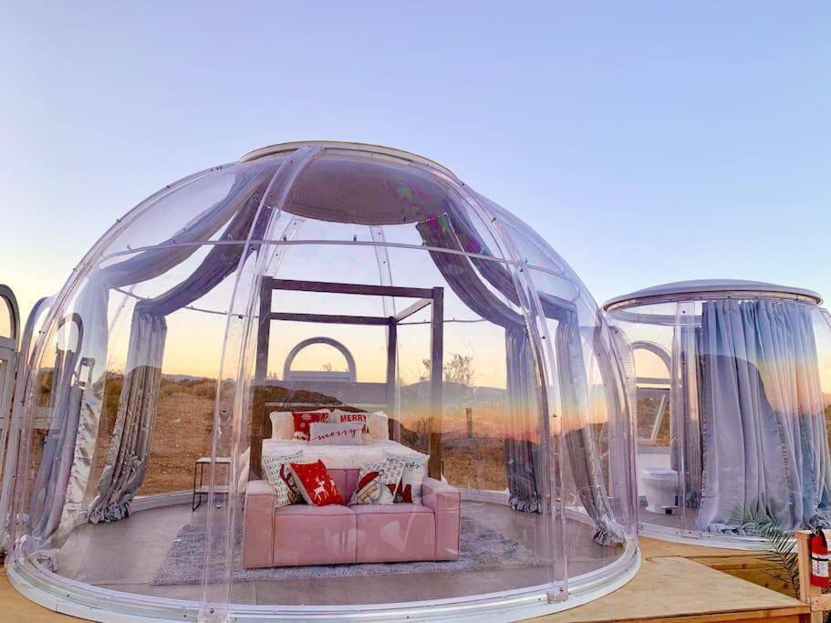 Jthavn-Joshua Tree Remote Dessert Bubble Dome Kültér fotó